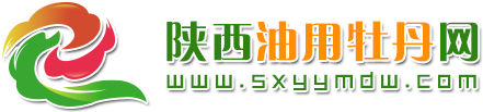 陕西油用牡丹网